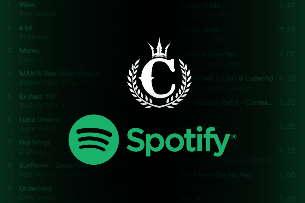 Calling All Music Fans 📣 CK's Spotify Is For You