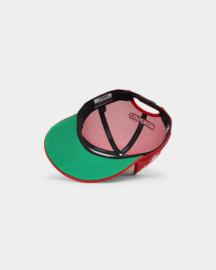 Pro Standard Chicago Bulls Visor Elite Trucker Eggshell/Red