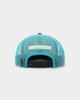 Pro Standard Boston Celtics Visor Elite Trucker Eggshell/Teal