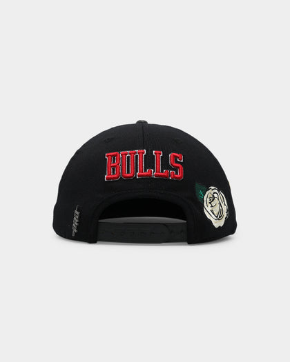 Pro Standard Chicago Bulls Roses Snapback Black