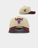 New Era Chicago Bulls 9FORTY A-Frame 2-Tone Snapback Gold