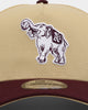 New Era Philadelphia Athletics 'Gold 2 Tone' 9FORTY A-Frame Snapback Gold