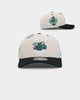 Mitchell & Ness Charlotte Hornets 'Diamond' Fitted Bone/Black