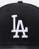 Pro Standard Los Angeles Dodgers Wool Strapback Black