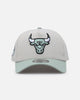 New Era Chicago Bulls 'Sea Glass' 9FORTY A-Frame Snapback Stone/Green