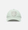 Pro Standard Las Vegas Raiders Dad Hat Strapback Moss
