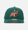 Mitchell & Ness Seattle SuperSonics Retro Matte Nylon Origins Snapback Green