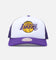Mitchell & Ness Los Angeles Lakers Team Foam Trucker Snapback Purple/White