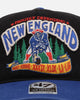 47 Brand New England Patriots 'NFL Trophy Case' Premium Hitch Snapback Black/Blue