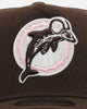 New Era Miami Dolphins 'Neapolitan 2.0' 9FORTY A-Frame Snapback Brown
