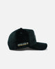 New Era Miami Dolphins 'Plush Chenille' 9FORTY A-Frame Snapback Dark Green