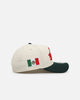 New Era Chicago White Sox 'Mexican Independence Day' 9FORTY A-Frame Snapback Chrome/Dark Green