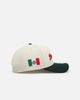 New Era New York Mets 'Mexican Independence Day' 9FORTY A-Frame Snapback Chrome/Dark Green