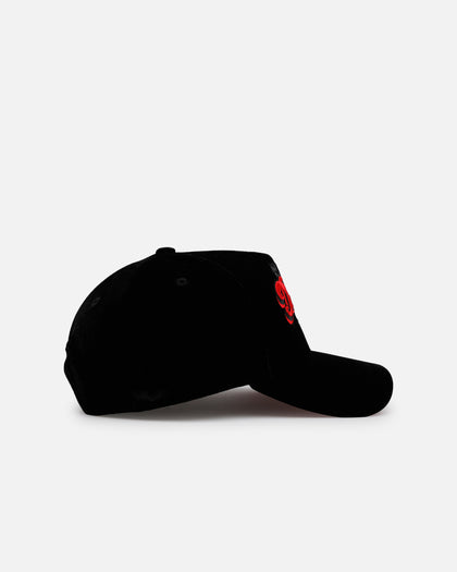 New Era Miami Dolphins 'Spider Web' 9FORTY A-Frame Snapback Black/Red