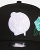 New Era Boston Celtics 'Aqua Rose Embroidery' 9FORTY A-Frame Snapback Black/Aqua