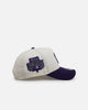 New Era Philadelphia Phillies 'Purple Haze 2.0' 9FORTY A-Frame Snapback Chrome/Purple