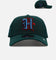 New Era Houston Texans 'Evergreen' 9FORTY A-Frame Snapback Dark Green