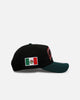 New Era Chicago Bulls 'Mexican Independence Day 2.0' 9FORTY A-Frame Snapback Black/Green