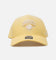 47 Brand New York Knicks 'Sunflower Fade' 47 Offside Snapback Sunflower