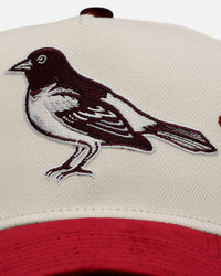 New Era Baltimore Orioles 'Velvet Roses' 9FORTY A-Frame Snapback Chrome