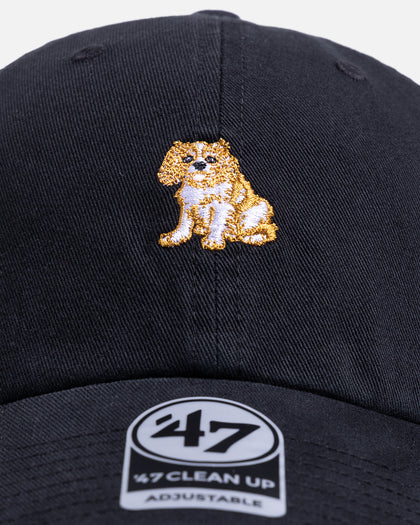 47 Brand Cavalier Spaniel 'Dog Collection' 47 Clean Up Strapback Black