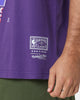 Mitchell & Ness Phoenix Suns XL Arch Vintage T-Shirt Faded Purple