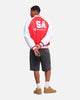 Champion Rebel USA Letterman Jacket Red Spark Csi