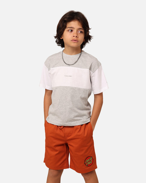 Calvin Klein Kids' Colour Block T-Shirt Grey