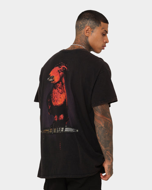 American Thrift X Harry Potter Dumbledore Vintage T-Shirt Black Wash