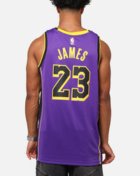 Nike Los Angeles Lakers Lebron James Dri-FIT Swingman Jersey Field Purple