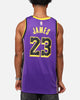 Nike Los Angeles Lakers Lebron James Dri-FIT Swingman Jersey Field Purple