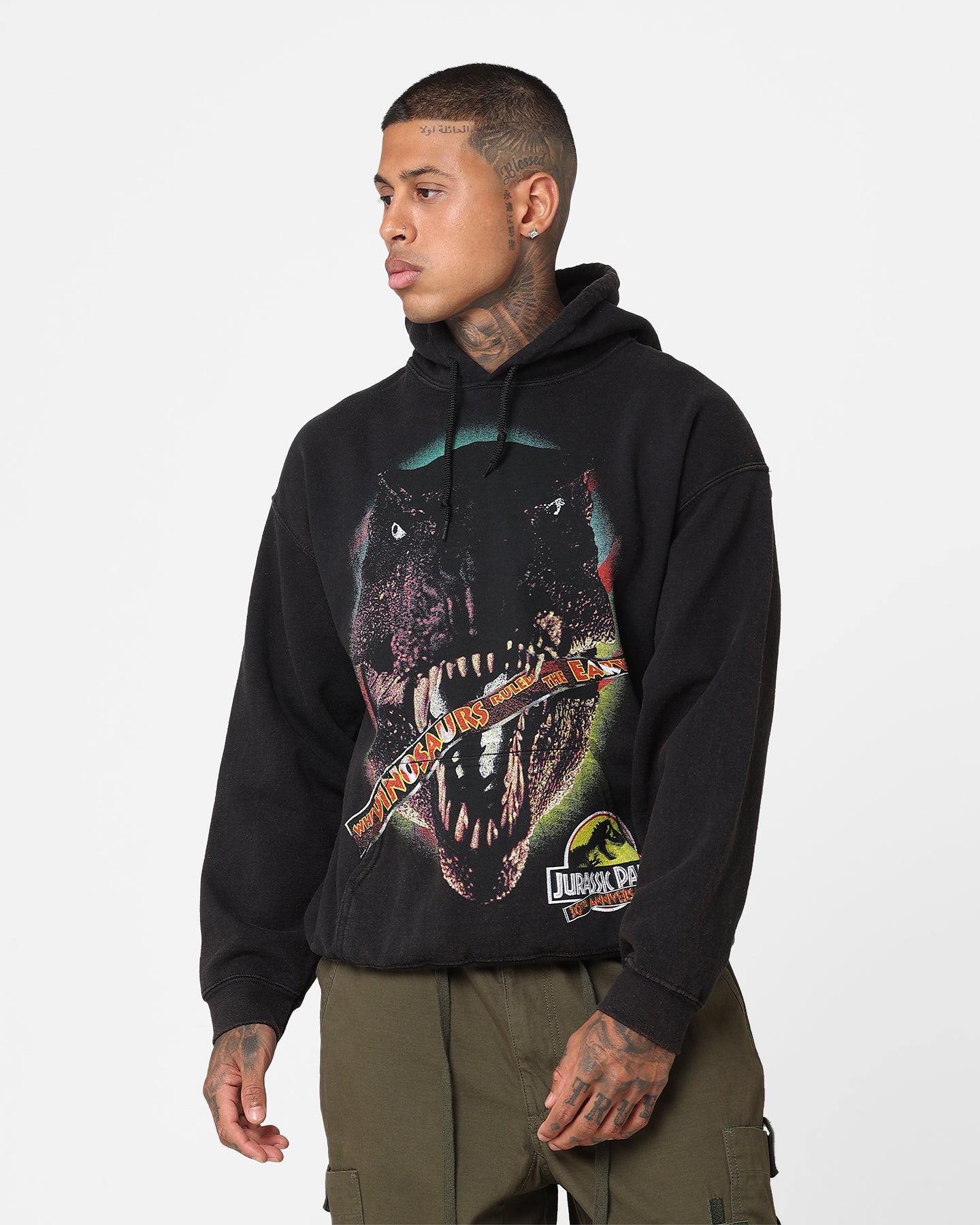 JURASSIC CUP 2025 PREMIUM HOODIE Lサイズ JURASSIC CUP 2025 PREMIUM HOODIE Lサイズ 【公式通販】
