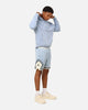 Jordan Essentials Statement Wash Fleece Pullover Hoodie Blue Grey