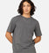 Champion Rochester Tech T-Shirt Baby Seal