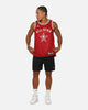 Jordan Donovan Mitchell All-Star 73rd Anniversary Swingman Jersey Team Crimson
