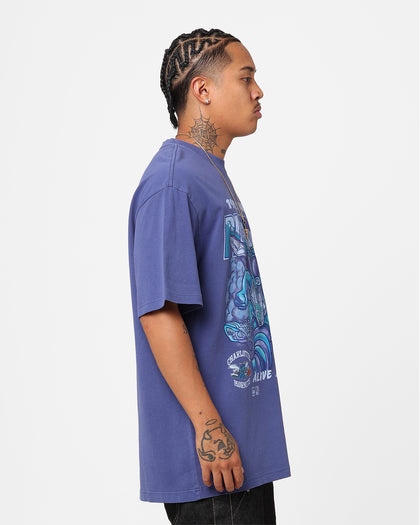 Mitchell & Ness Charlotte Hornets 1993 Playoffs T-Shirt Hornets Purple