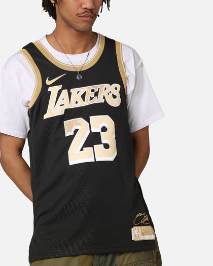 Nike LeBron James Los Angeles Lakers Dri-FIT 2024 Select Series