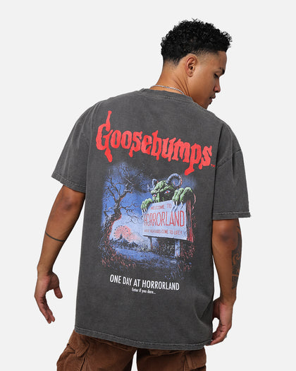 73Studio X Goosebumps Horrorland Heavyweight T-Shirt Black Wash