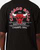 Mitchell & Ness Chicago Bulls Arch T-Shirt Faded Black