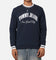 Tommy Jeans TJM Reg Tipping Varsity Crewneck Dark Night Navy