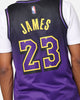 Nike Lebron James Los Angeles Lakers #23 City Edition 2024/25 Nike Dri-Fit NBA Swingman Jersey Field Purple