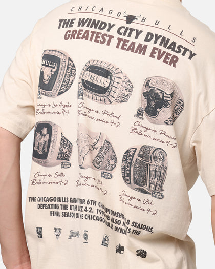 Mitchell & Ness Chicago Bulls Greatest Team T-Shirt Pink