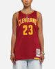 Mitchell & Ness Cleveland Cavaliers Lebron James 2015 Dark Jersey Burgundy
