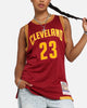 Mitchell & Ness Cleveland Cavaliers Lebron James 2015 Dark Jersey Burgundy