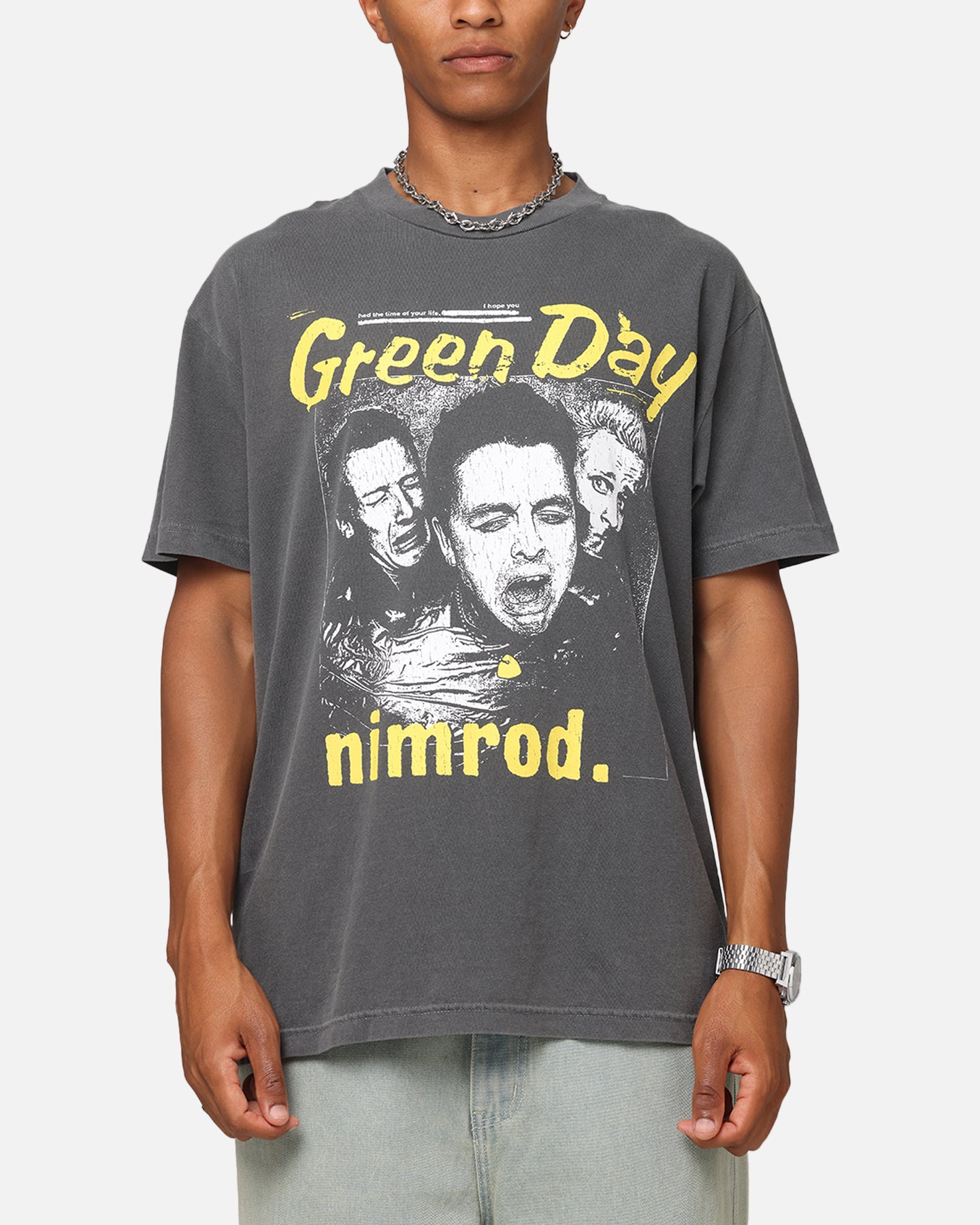 Green Day Nimrod Vintage T-Shirt Faded Black | Culture Kings