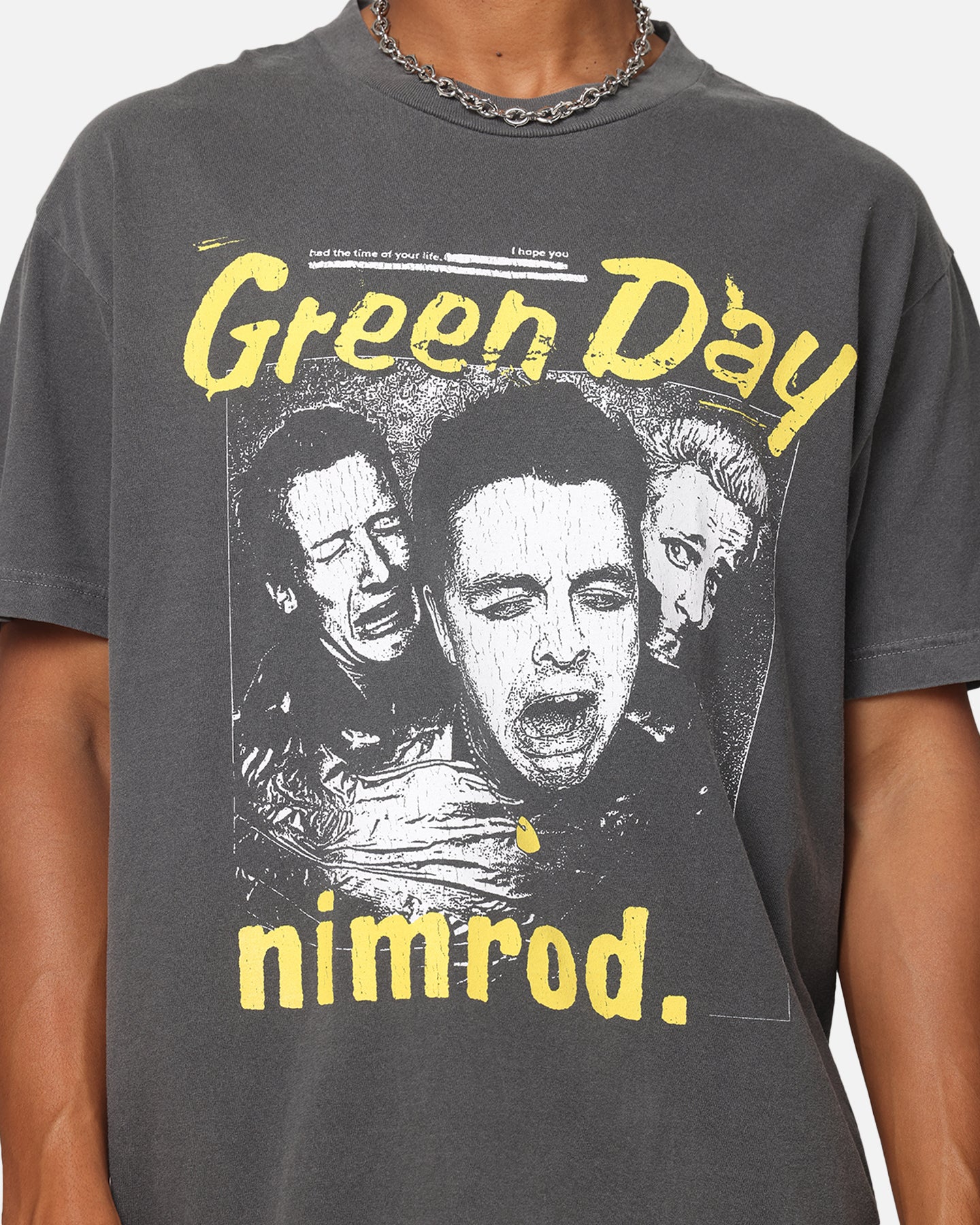 Green Day Nimrod Vintage T-Shirt Faded Black | Culture Kings