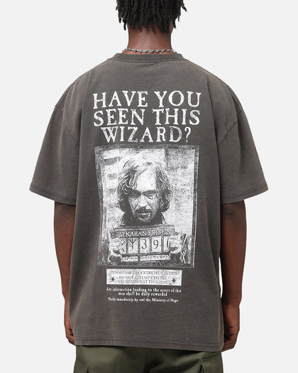 Goat Crew X Harry Potter Sirius Heavy T-Shirt Black Wash