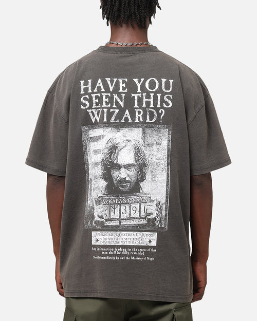 Goat Crew X Harry Potter Sirius Heavy T-Shirt Black Wash