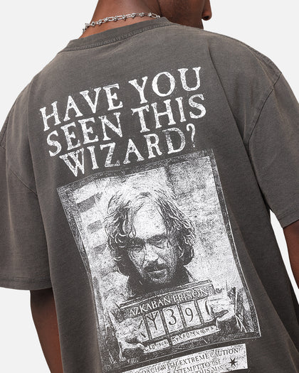 Goat Crew X Harry Potter Sirius Heavy T-Shirt Black Wash