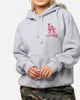 Majestic Athletic Los Angeles Dodgers Arch Mercer Hoodie Grey Marle